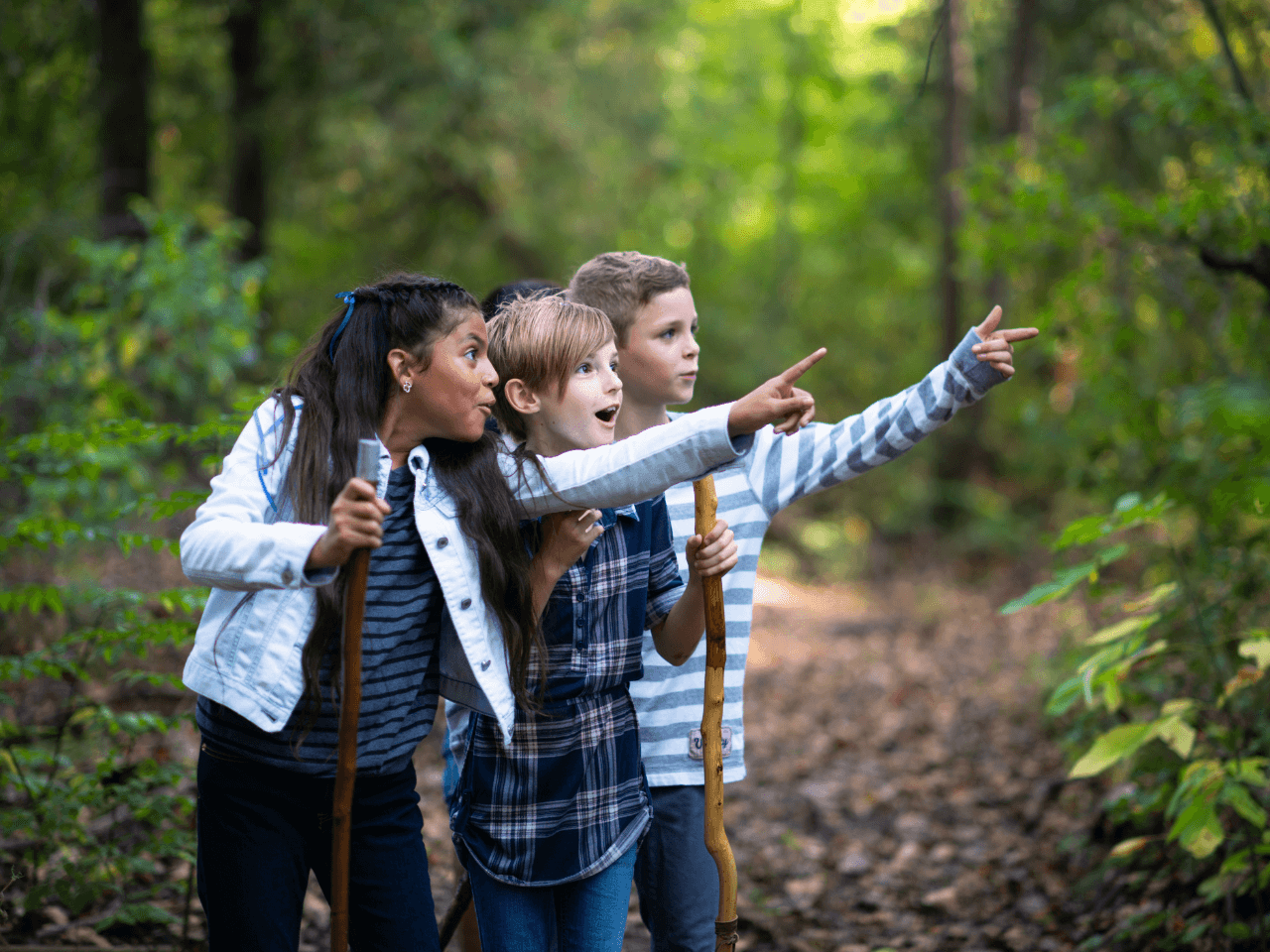 10 места, от които учим повече, отколкото в класната стая